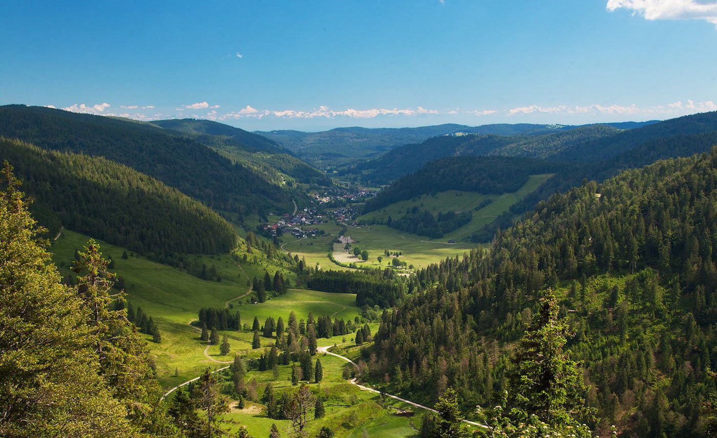 Biosphärengebiet Schwarzwald ruft nochmals zur Teilnahme an Befragung zur Akteptanzanalyse auf