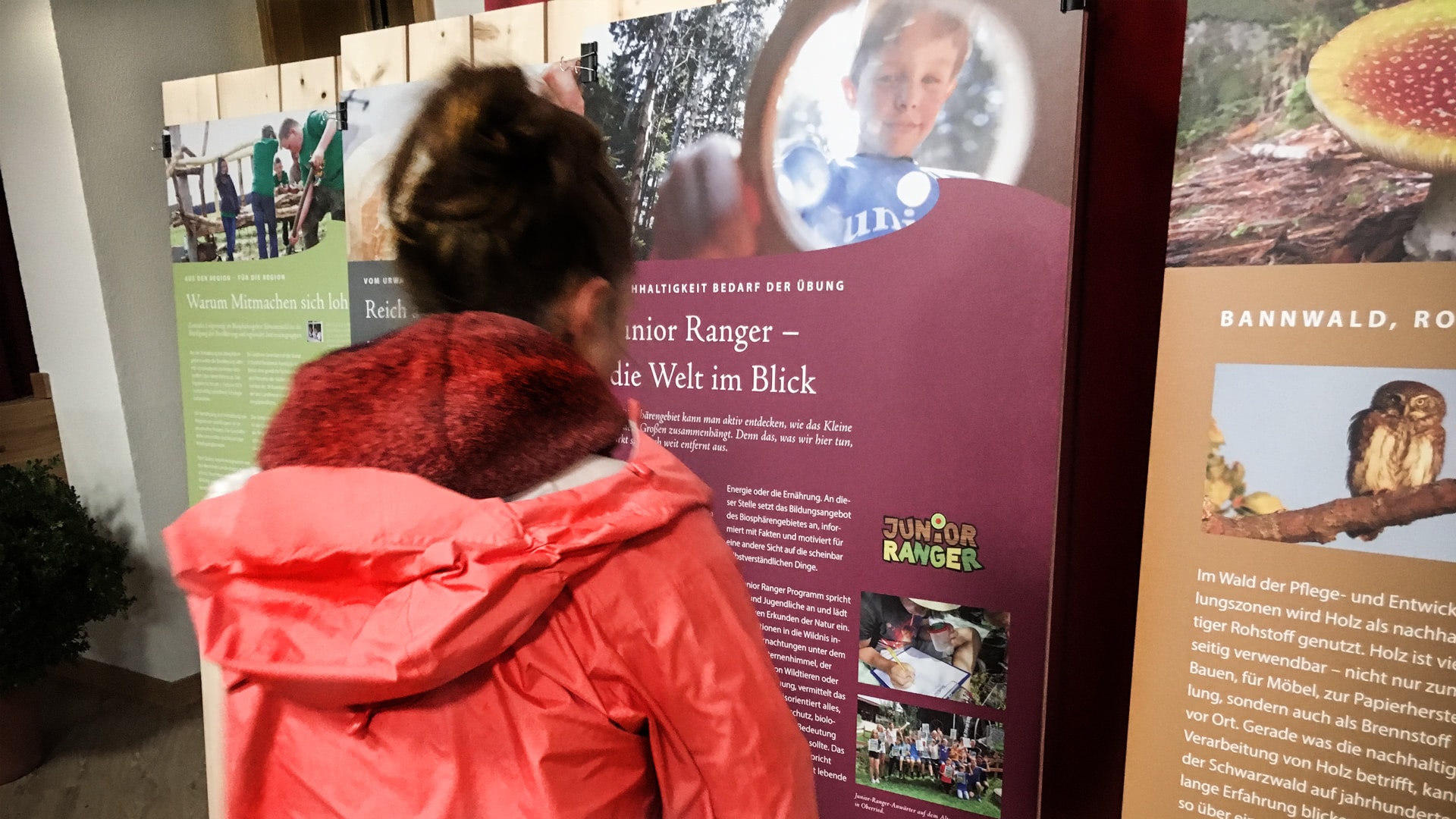„Zukunft mit Tradition“: Wanderausstellung zum Biosphärengebiet Schwarzwald gastiert in Schönauer Geschäftsstelle