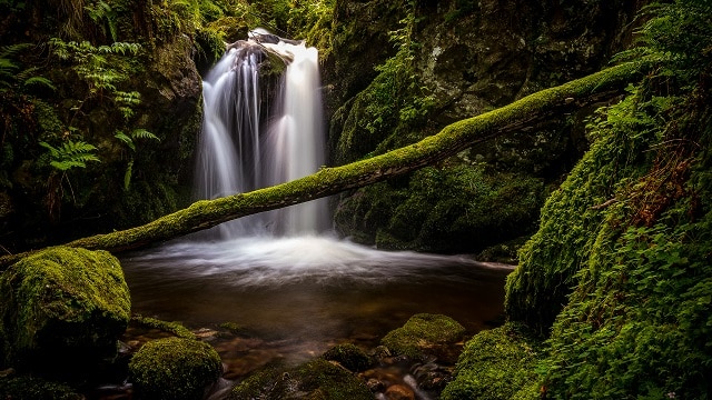Verborgene Kaskaden im Südschwarzwald: Wasserfall-Fotos von Stephan Karmann sind in der Geschäftsstelle des Biosphärengebiets in Schönau im Schwarzwald zu sehen