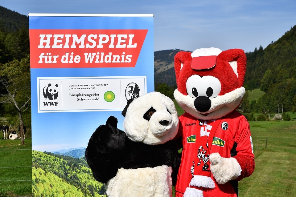 Heimspiel für die Wildnis: Wildnis-Erlebnis-Pfad in Oberried