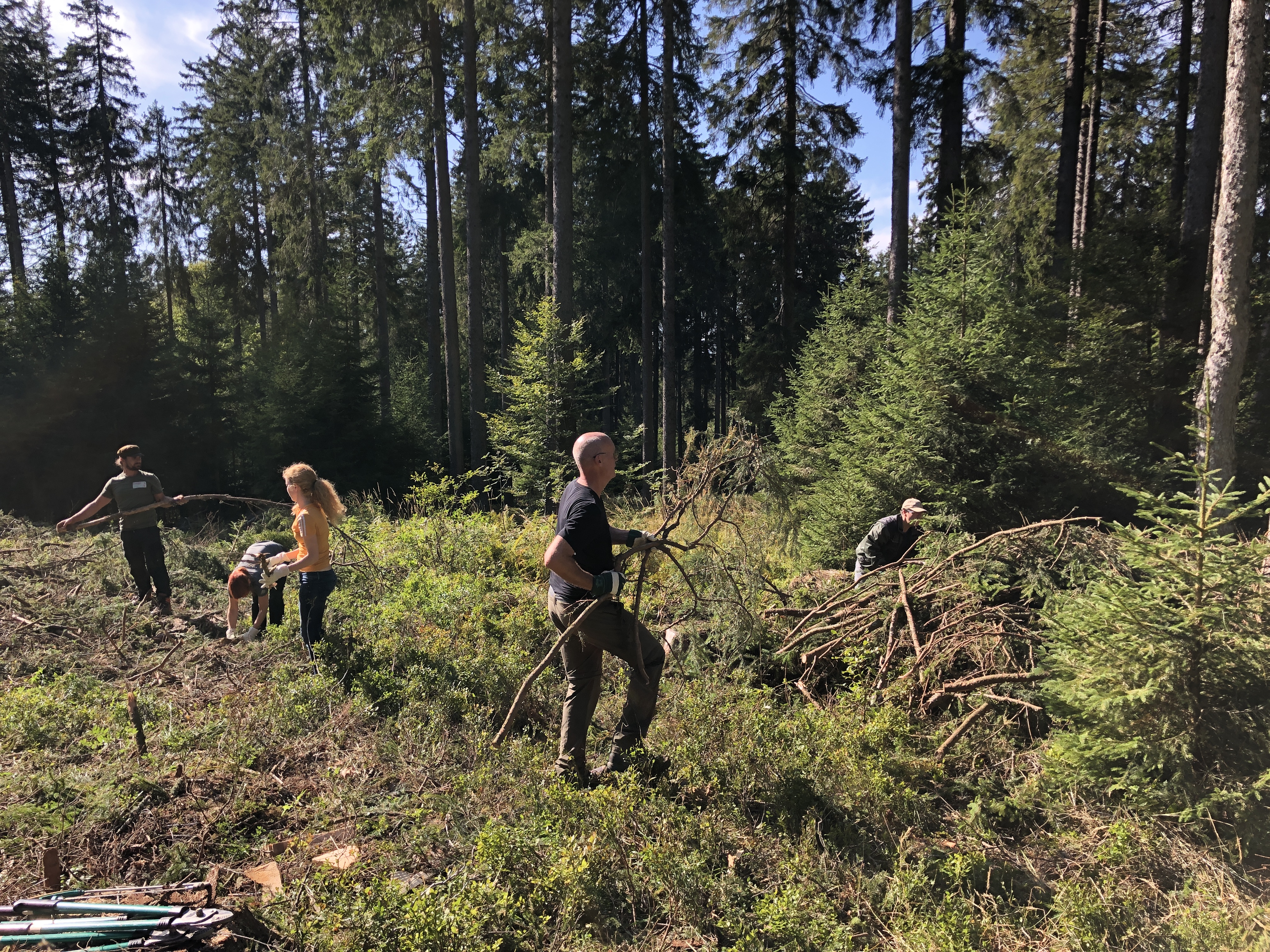 Zwei internationale Firmen engagieren sich bei der Landschaftspflege im Biosphärengebiet Schwarzwald