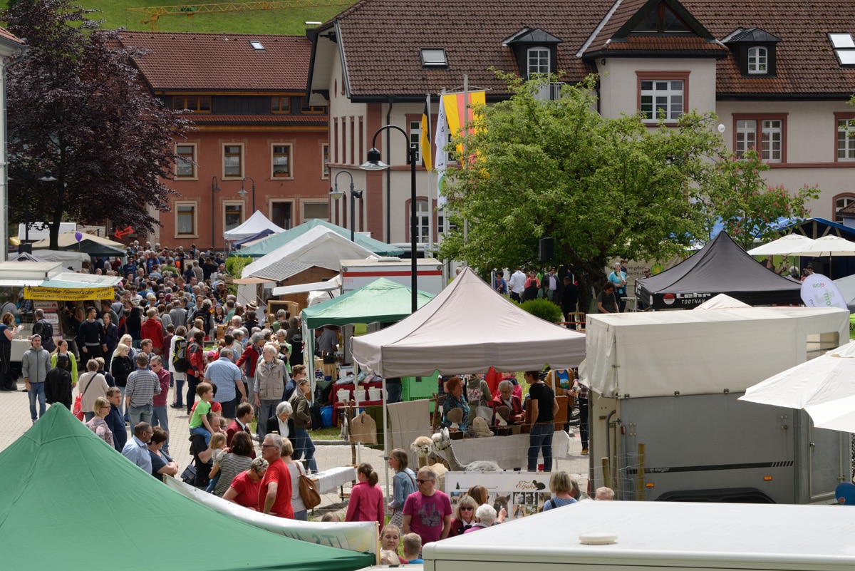 Schönau im Schwarzwald richtet Biosphärenfest 2020 aus
