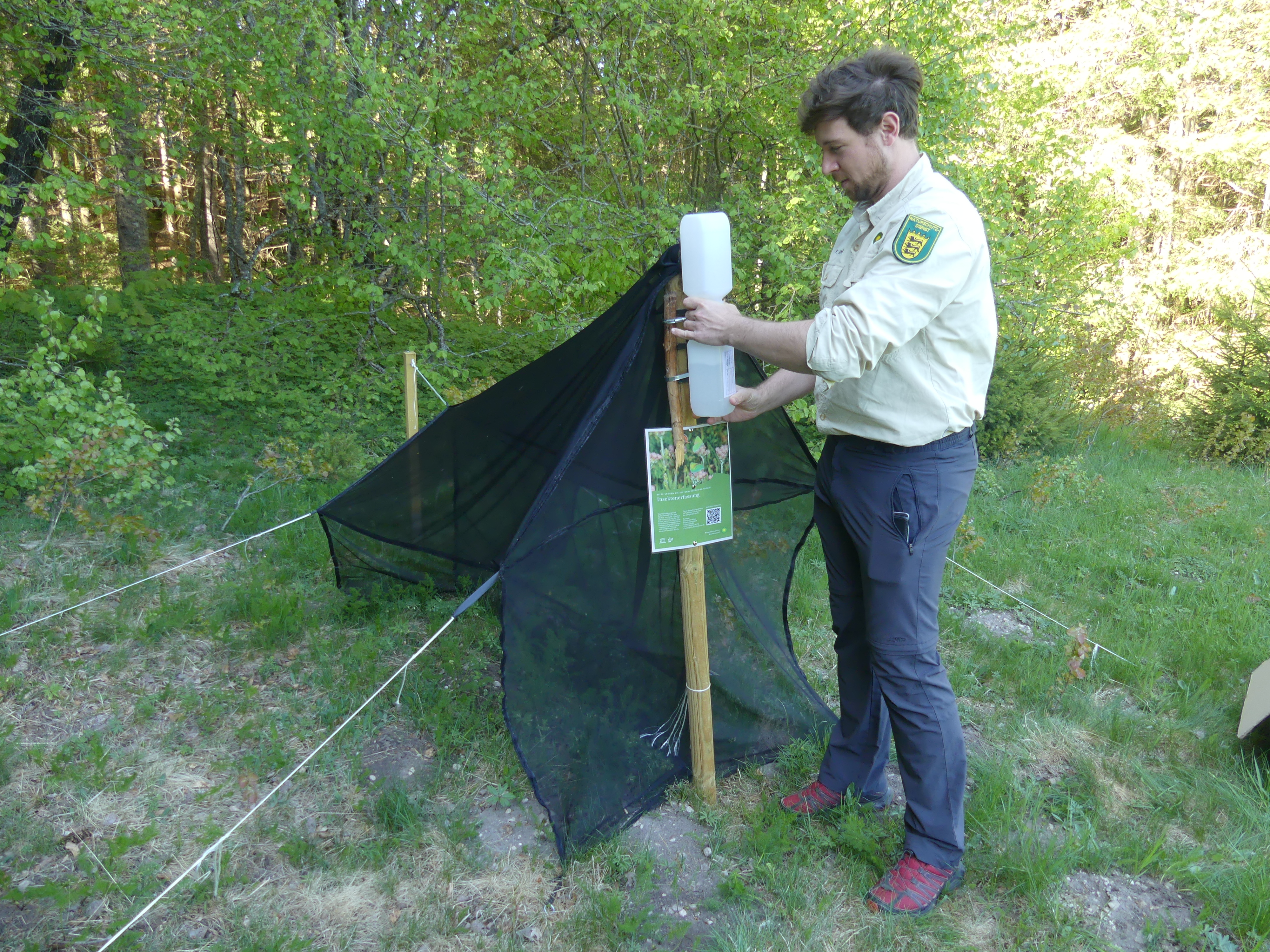 Insektenforschung im Biosphärengebiet Schwarzwald