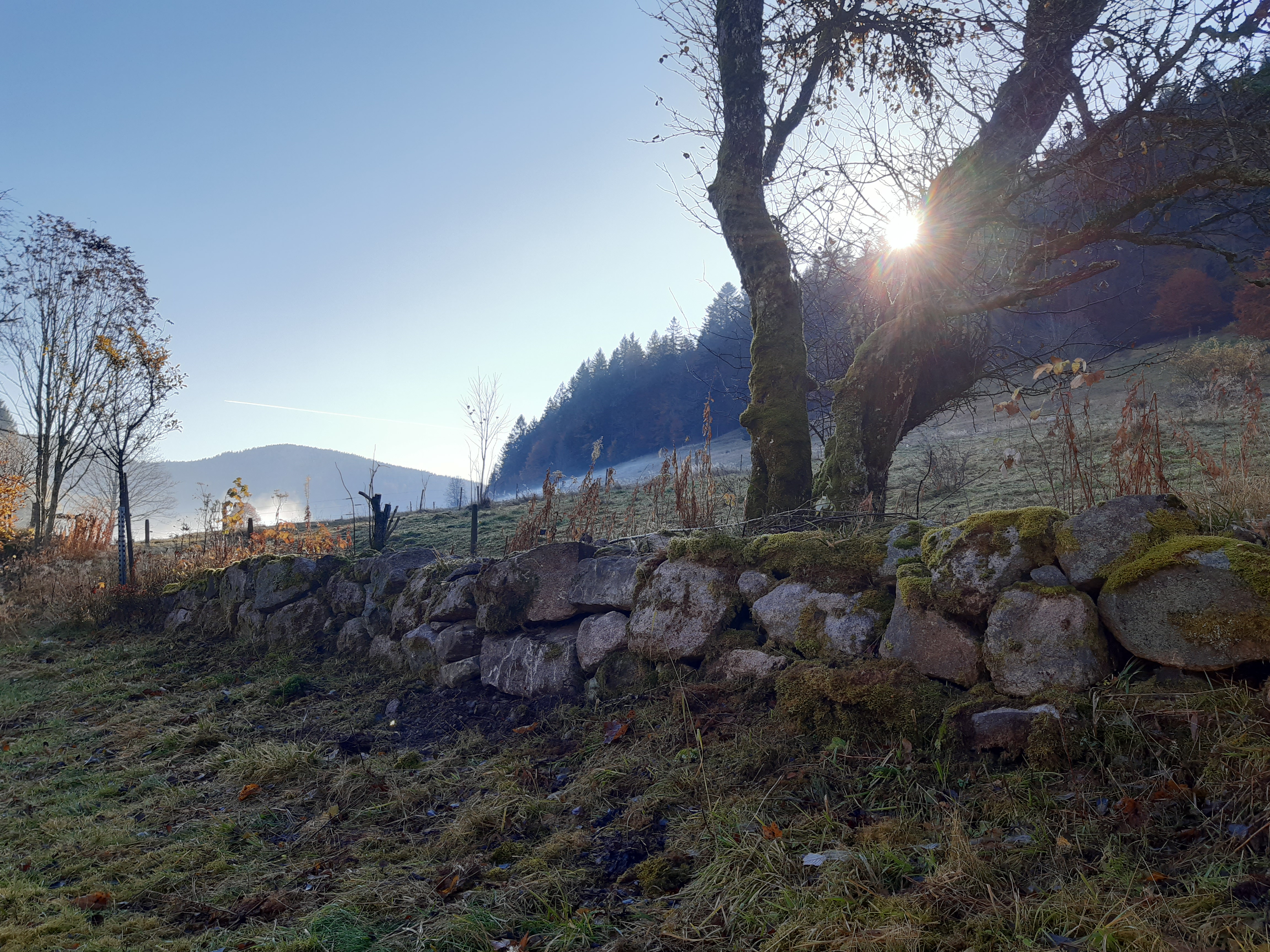 Biosphärengebiet Schwarzwald lässt Trockenmauern in Menzenschwand sanieren