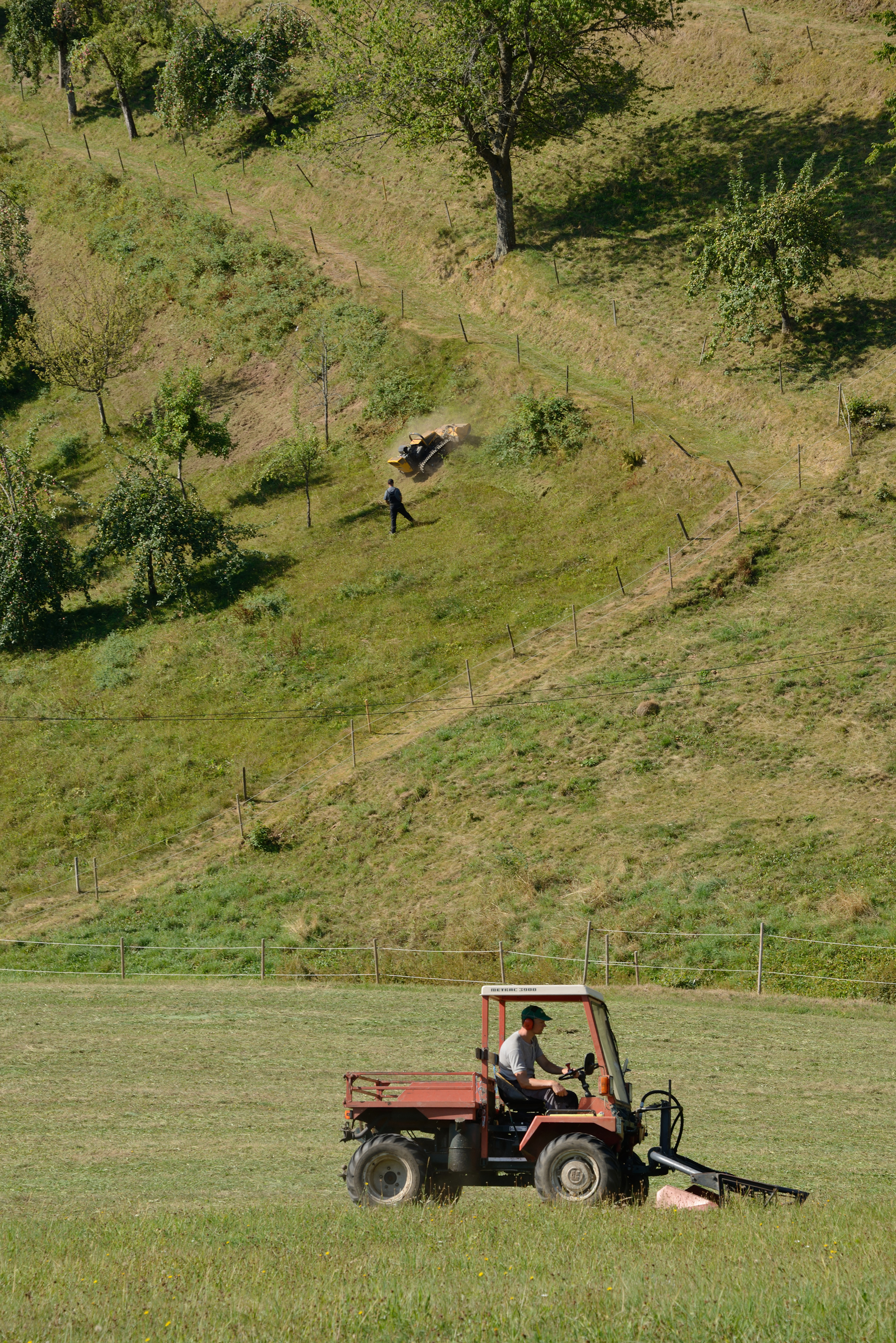 Ein Traktor mäht eine Wiese vor einem Steilhang
