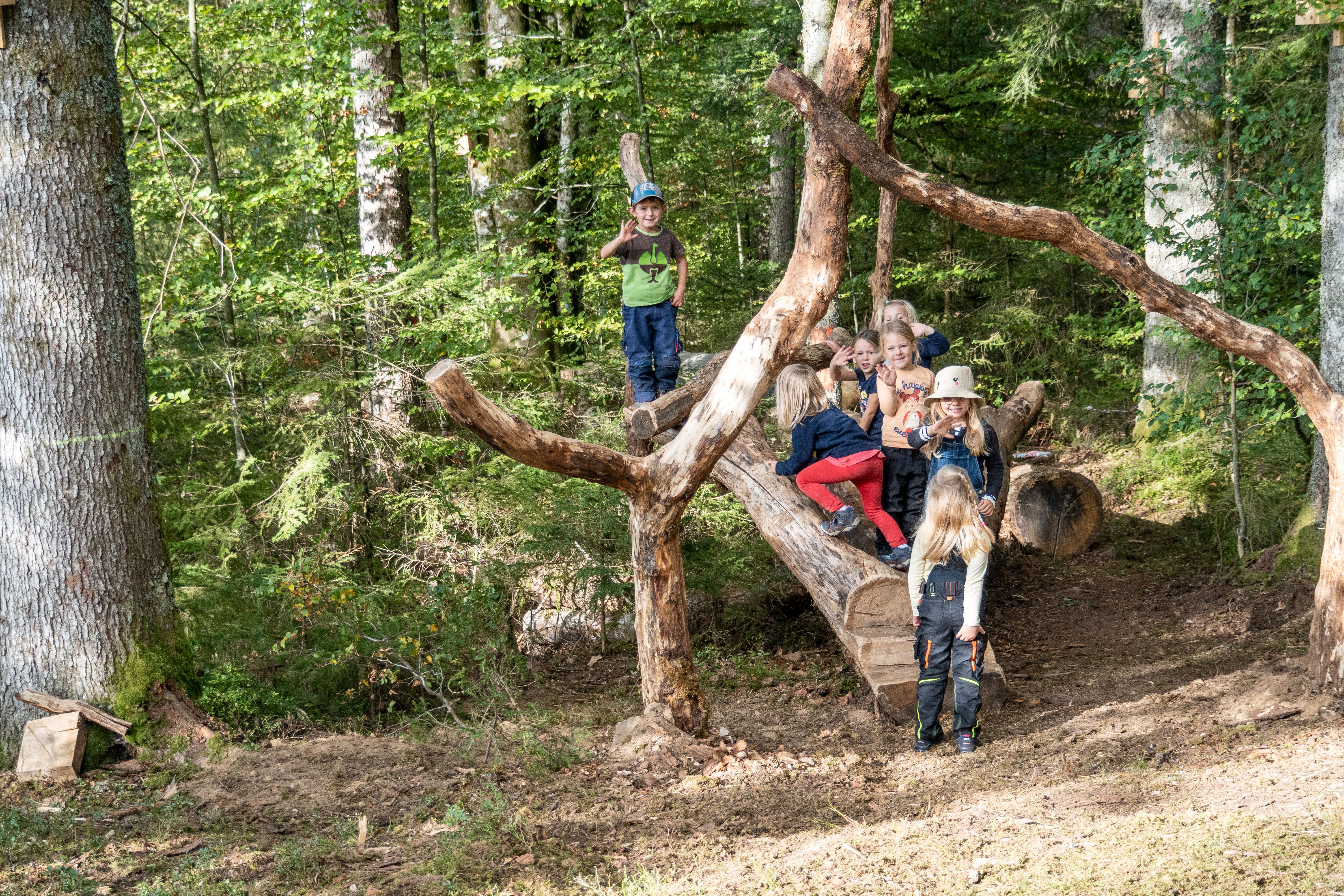 Kinder sitzen auf einem Baum